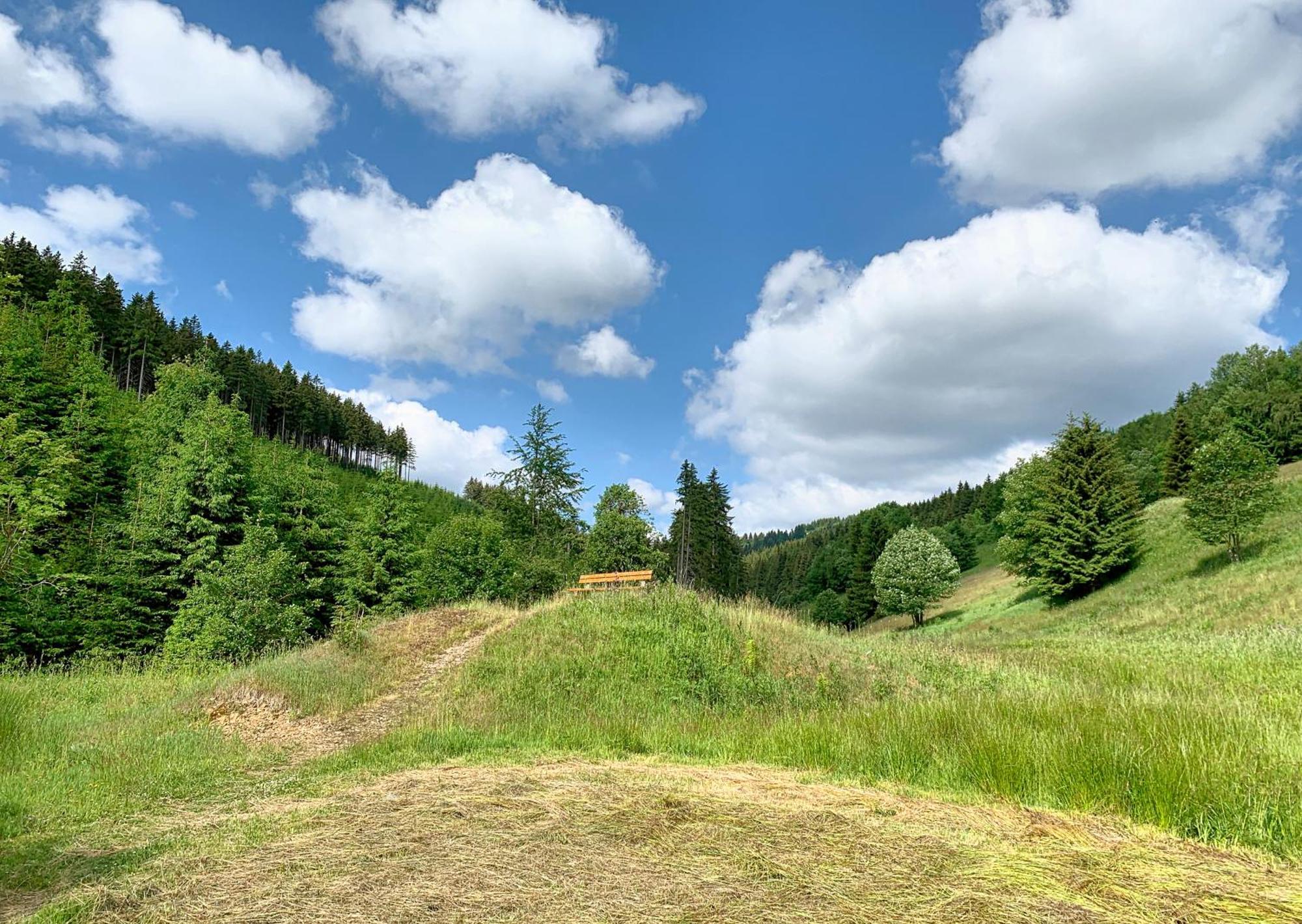 Erzgebirge Suite Bergruhe Oberwiesenthal Zewnętrze zdjęcie