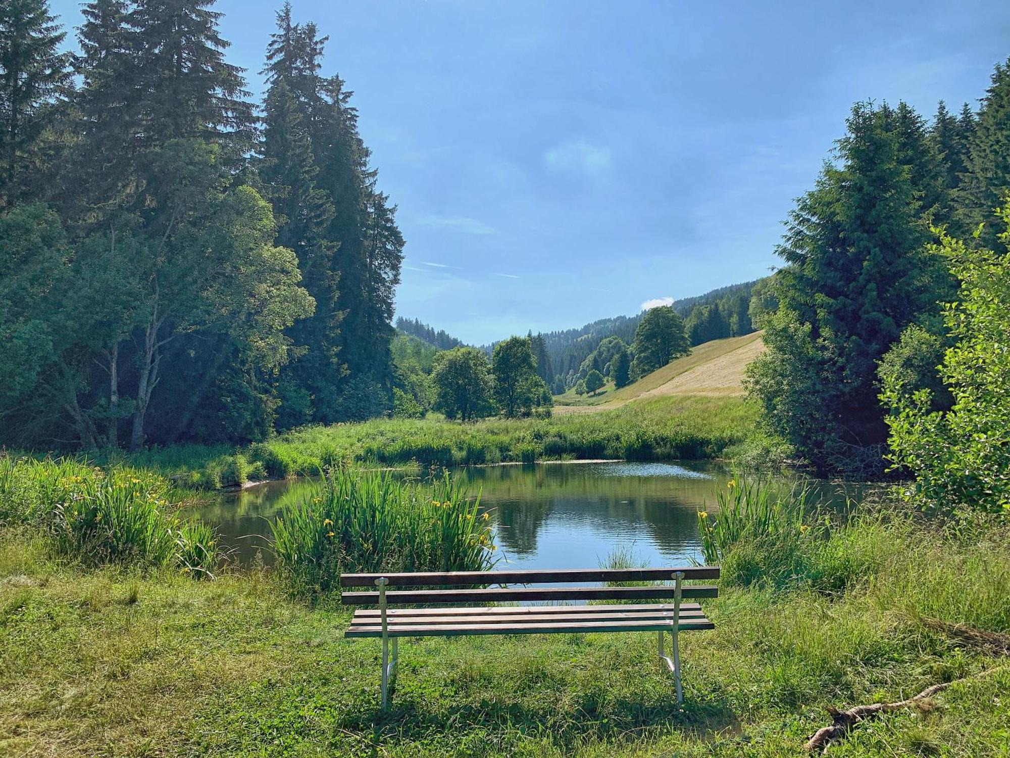 Erzgebirge Suite Bergruhe Oberwiesenthal Zewnętrze zdjęcie
